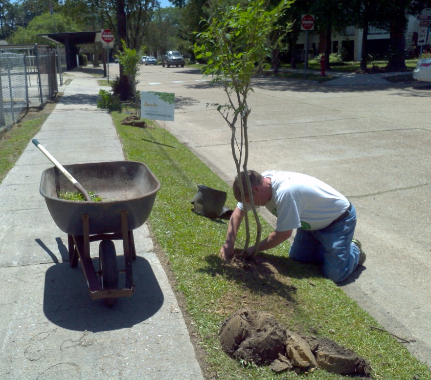 Donny Pitzer planting trees on Wilson